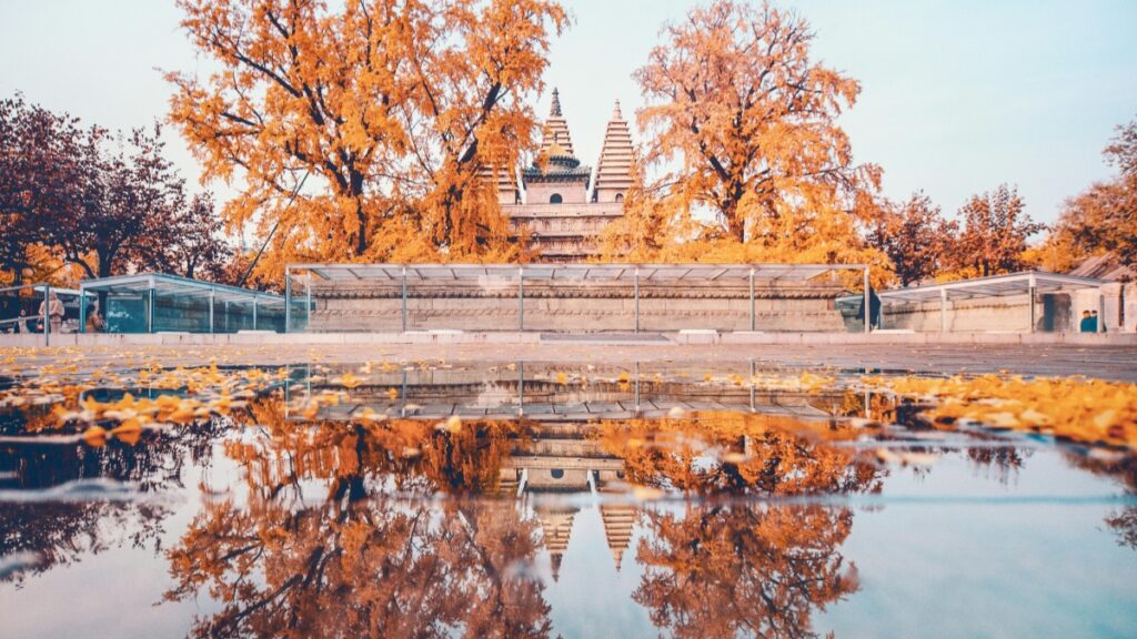 How Zambia Telegram Bloggers Can Collaborate with Thailand Advertisers in 2025