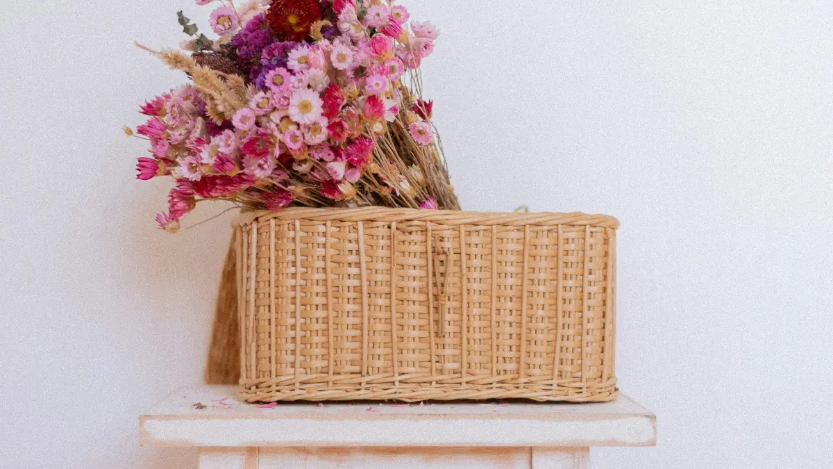 Creators Zambia: Reach Malaysia Etsy Brands & Highlight Must-Haves Fast