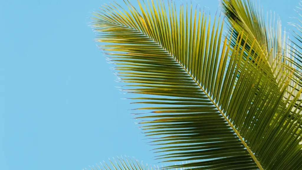 Ifyo umulandu walikwata: amashina ya UGC Era ulya ulafulwa UK, ifintu ifya Rumble, nomba insambu sha Zambia uko mwalifwaya creators abakwete authentic travel-gear content.