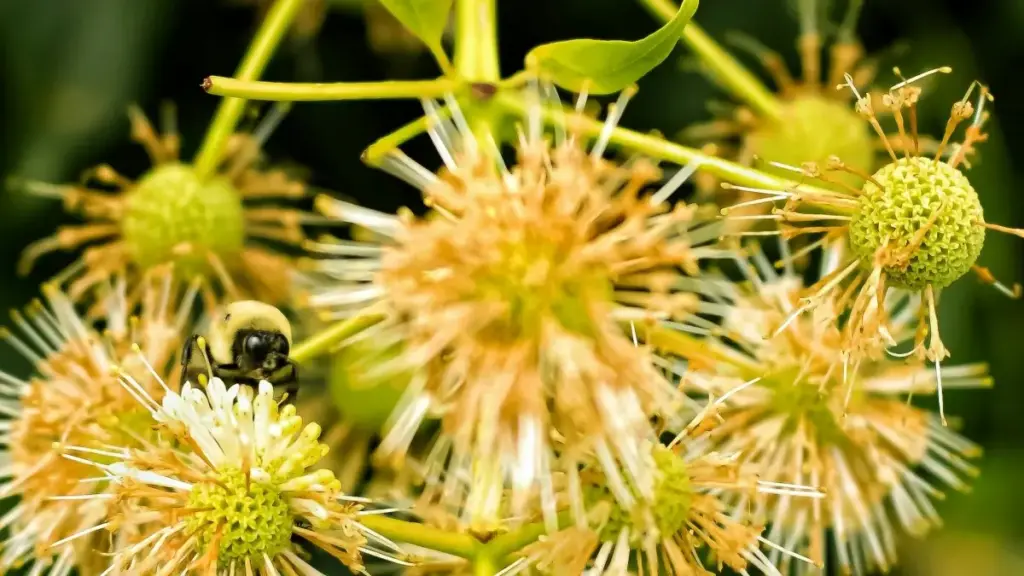 Ici ca ku ba advertiser mu Zambia: amano yalyo shilya ukufumya abashipusha abena Croatia pa OnlyFans ukucita kampeni ya pamoja, ukumfwana amatende ne mabwelela yaluse.