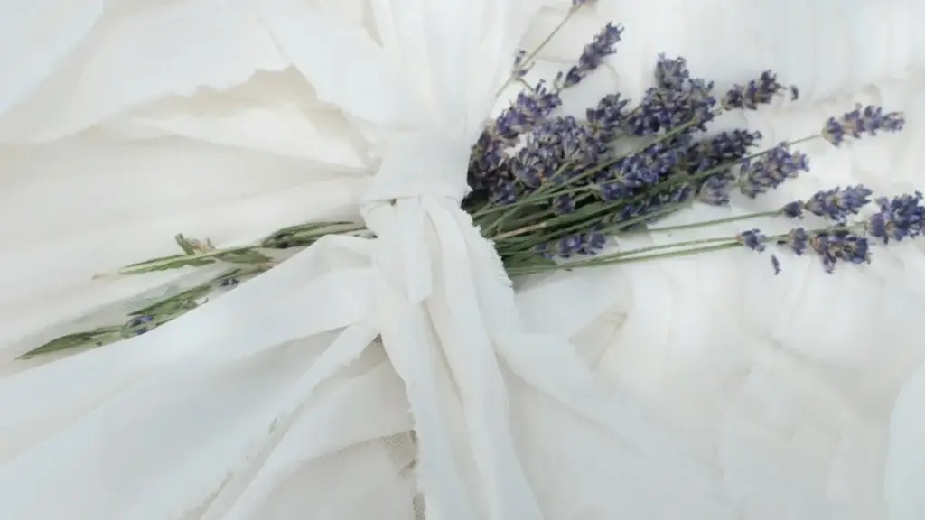 Ulupwa lwa kusanga France Chingari creators bwino—amalango yalenga, amano yachalo, ne njira shalikonka kuti SaaS trial yabone niche users mu 2025.