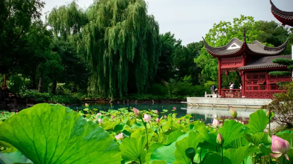 Amenshi aya: uko ulefwaya abashipasho mu France ku Reddit ukushishita abacreators pa dance challenges — amano, amapepo, nomba where to start.