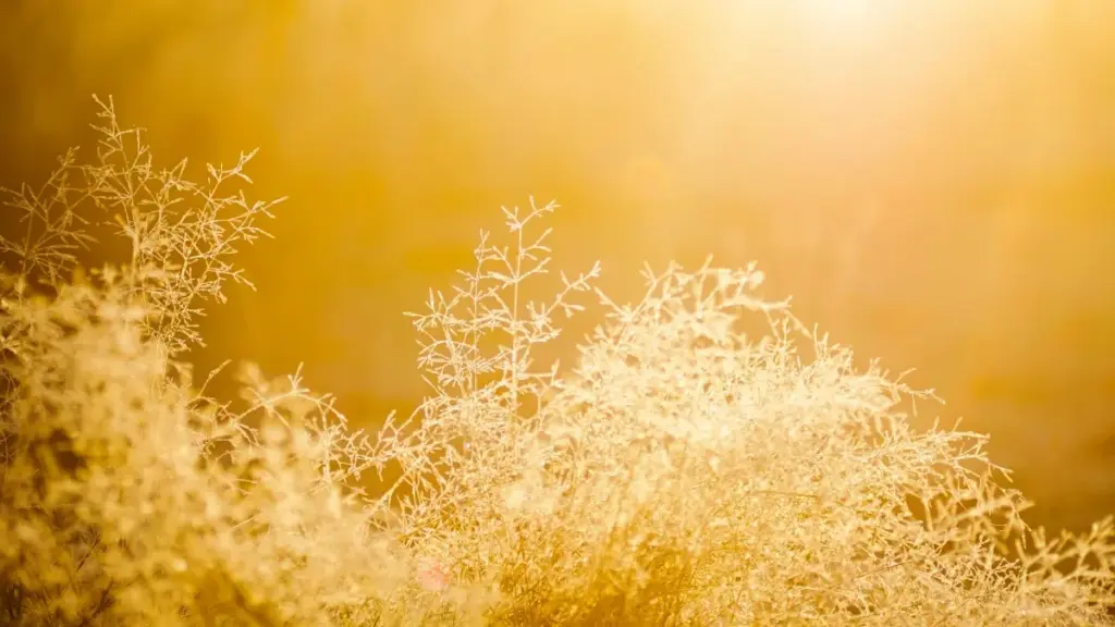 Ndele ya ma tips mu bem-ZM pa kulandilila France brands pa Reddit kufuma mu Zambia — step-by-step, outreach templates, na VPN tips.