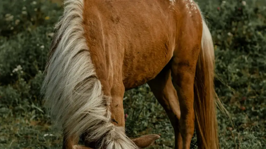 Ulwimbi lwa kuyumfwila amalonda ya Greece pa Josh — umutendele, ma tips, netambo za media kit.