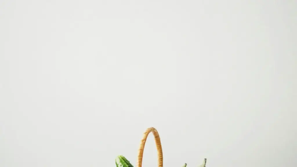 Umwaume ukwisa aba creators mu Zambia; amano ya kusanga Norway brands pa Facebook no kulenga utushimi twacilamo naba sponsors.