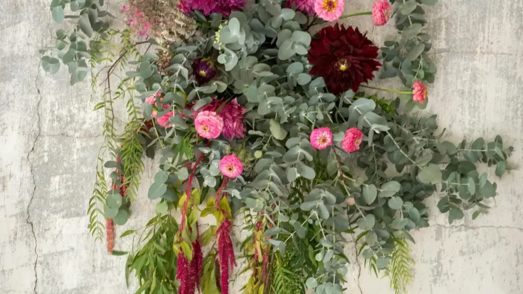 Ivi ni vintu vya mwebantu: mu Zambia, shalimo amano yakulandapo Greece Josh creators uko bakwete authentic voice, ukulondolola platform mix (TikTok, Josh, Instagram), ne strategy ya paid+organic.