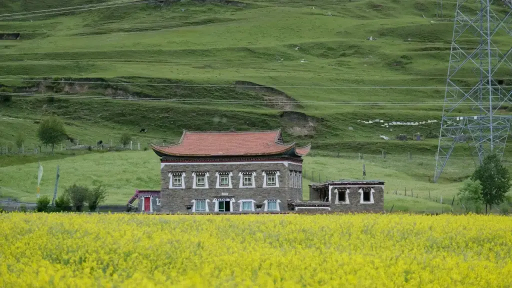 Amatebeto ya pa net: ulalolesha uko mwaishiba aba Josh creators ba Dominican Republic uko mufwaya ukulanda na micro-influencers.