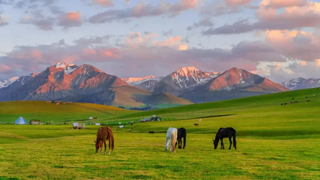 Umulandu wa ba advertisers mu Zambia: ifintu fyakulandula abashope ba Pinterest ku Iceland kuti batwale sponsored challenges — michinshi, njira, ne tips.