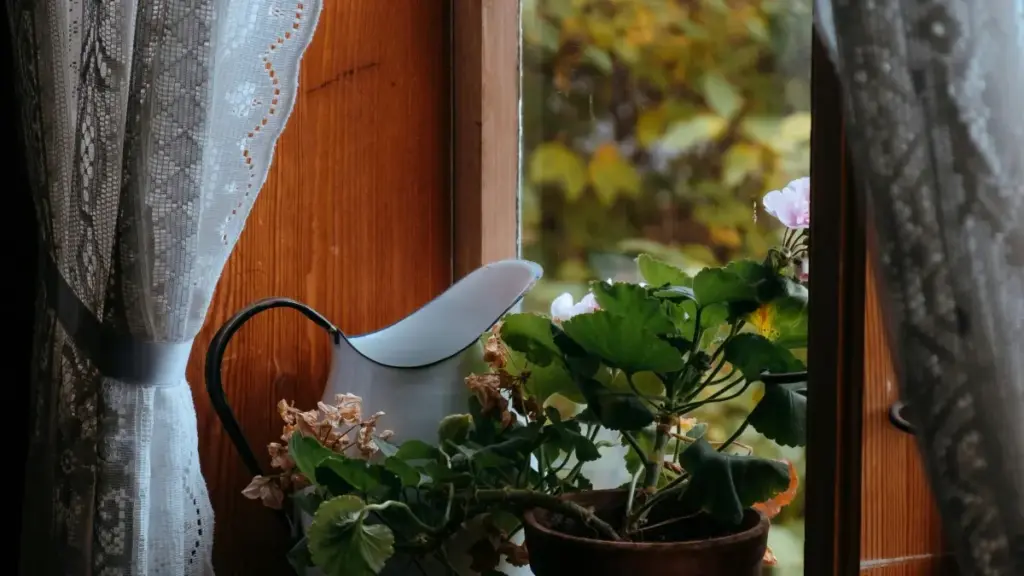 Ubuyashi bwandi bwashupa: amano yakwe ukulanda abashimikile ba Montenegro pa Amazon ukubikapo imilimo ya kampeni ya joint marketing mu Zambia.