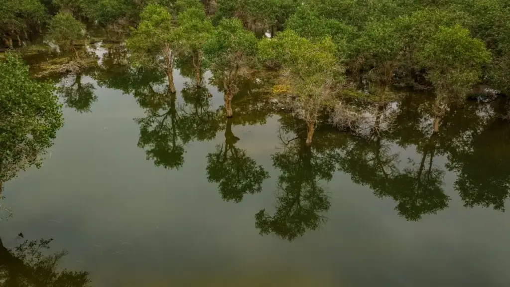 Inshila ya kusanga ama brand ya Ethiopia pa Douyin, amano yakulondolola, nomba uko ulesunga ukucita short-form branded videos mu 2025.