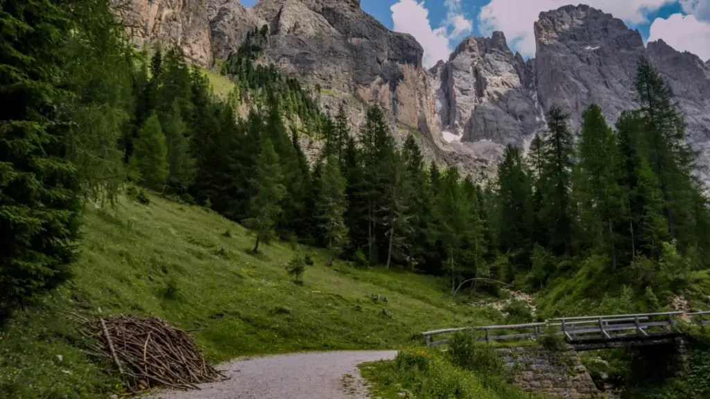 Ulubemba lwa mu Zambia: amano yabwino pa ukusanga na India brands pa OnlyFans kuti mulekelako reviews ya trending products, privacy tips, na MaTitie VPN suggestion.