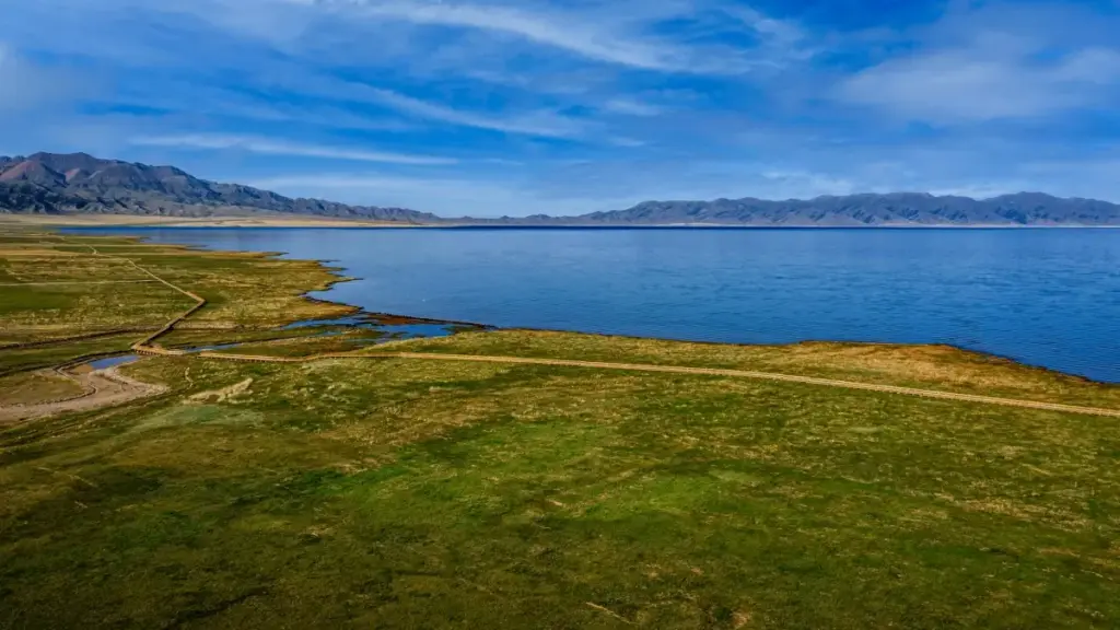 Ilyashi ku ba creator ku Zambia: imfumu shilenga amasamu pa HBO Max ku Indonesia, amano ya pitching, networking, na VPN.