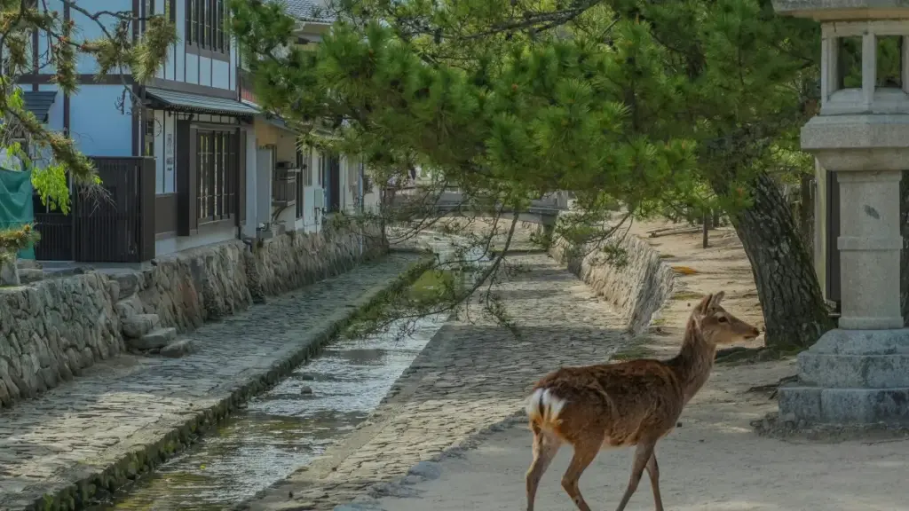 Icipuba ico cine cine: malyashi ya Zambia yaisa uko bwino ukusanga Norway Etsy creators pa sponsored challenges, amano yakuya, nambi ma example.