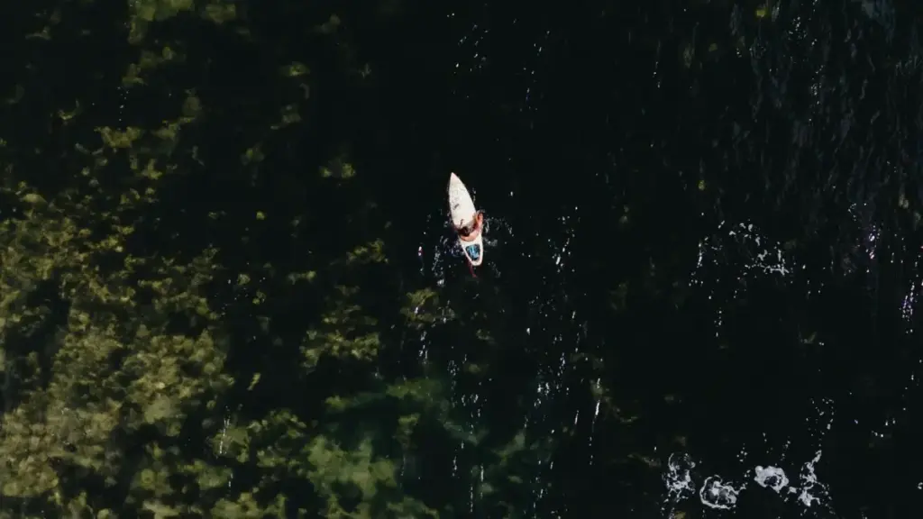 Iyi article ilanga ba advertiser ku Zambia uko balefwaya ukusanga abashilikashi ba Shopee mu Uruguay ukufikila no kulandapo imiti yacatalogi, amalango yenu, ne tips za collaboration.