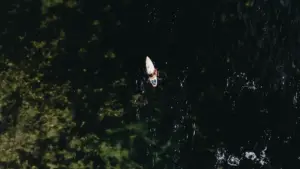 Iyi article ilanga ba advertiser ku Zambia uko balefwaya ukusanga abashilikashi ba Shopee mu Uruguay ukufikila no kulandapo imiti yacatalogi, amalango yenu, ne tips za collaboration.