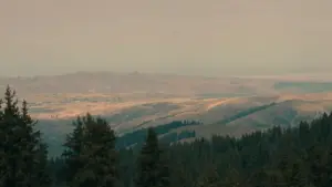 Umwina wawama ku Zambia: ukubomba amano pa ukukwata abashipusha ba Xiaohongshu mu Uruguay ukwabula ukukwisha imigwilisho ya skincare.