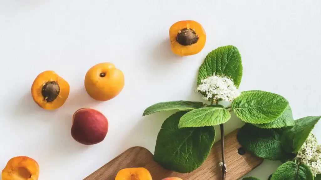 Ici cila ca bantu ba Zambia: amano yaku reach-a Greece brands pa Etsy, ilingana noku filim behind-the-scenes, ubuchindika, ne tools.