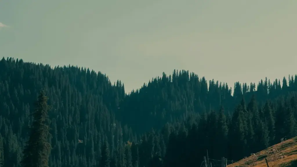 Ifyabene fye pa Threads — amano aya yalenga ukutila umulimo wa ambassador uwa India brands, inkl. ubufyashi bwa DCAA ne makampani ya beauty mu 2026.