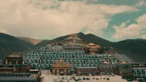 Twalolesha mu Zambia uko ba creators balashako reach ne Ivory Coast brands pa eBay, uko mwalanda giveaways, compliance, ne tools.