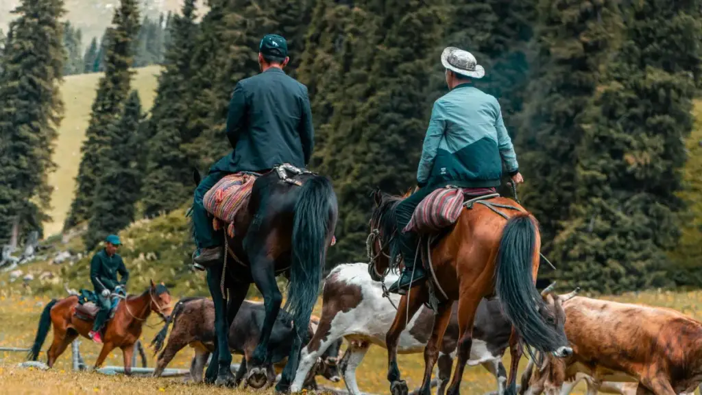 Ilyashi lya mujuulo ku abakreeya ba Zambia: imilimo ya online, ukucita reputation ne Spain brands pa Line, nomba ukucetekanya uko mwalanda.