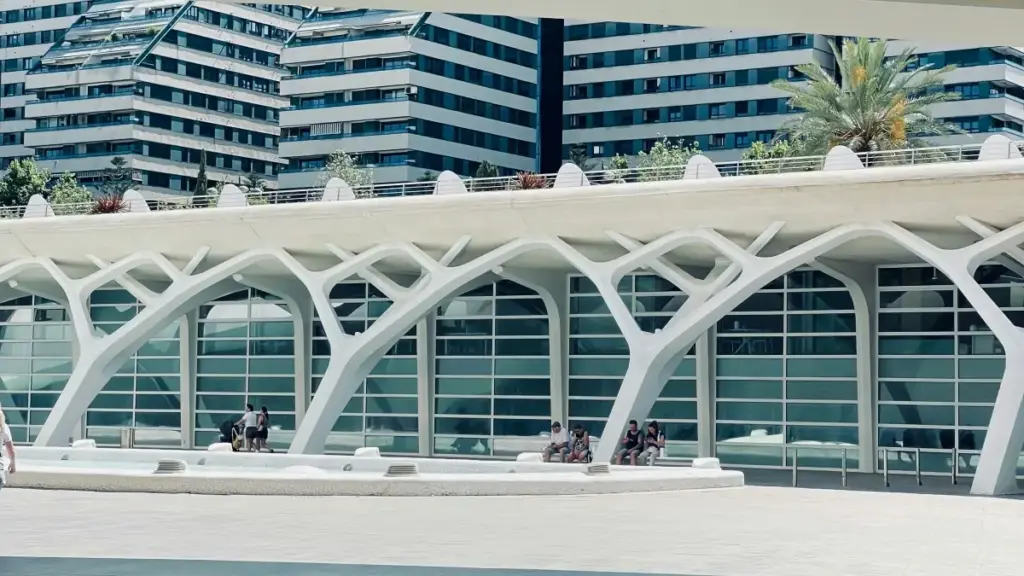 Ifyo umukwete wa brand mu Zambia aimalile: insambu yafwile ukubomba New Zealand Netflix creators ukulolela ifishinka fya clothing collection yobe — ici cine cifishibe ubushilu, amano, na ma steps yabushilu.