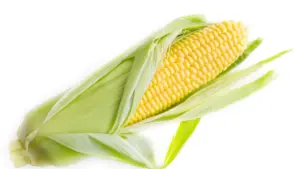 Umwenso wa ba creator — amano aya pa KakaoTalk ukubomba na Kazakhstan brands pa productivity guides, uko ukusanga iyo audience, strategy ya messaging, na VPN tips.