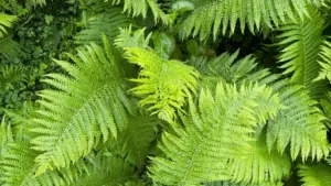 Ici bantu: amano yakulenga pa Pinterest ukusanga South Korea brands, nomba uulefwaya ukucita review ya beauty ne skincare — ama tips yaliko, VPN, na outreach templates.