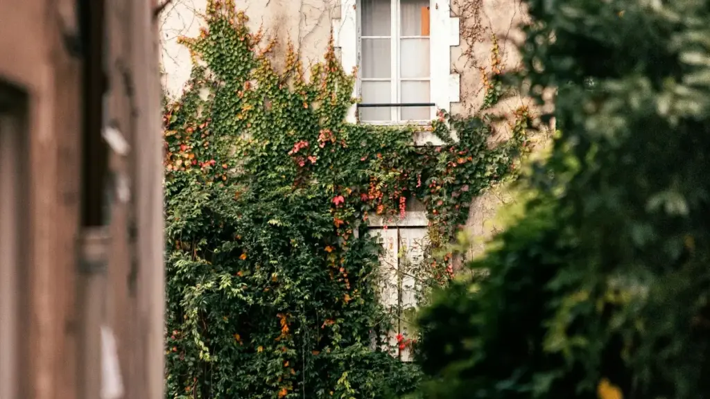 Umulandu ukupanga giveaway ya game keys: amano yakulenga, ma tactics pa Pinterest, nsambu ya kulangilila brands za Laos, kakwete bwino mu 2026.