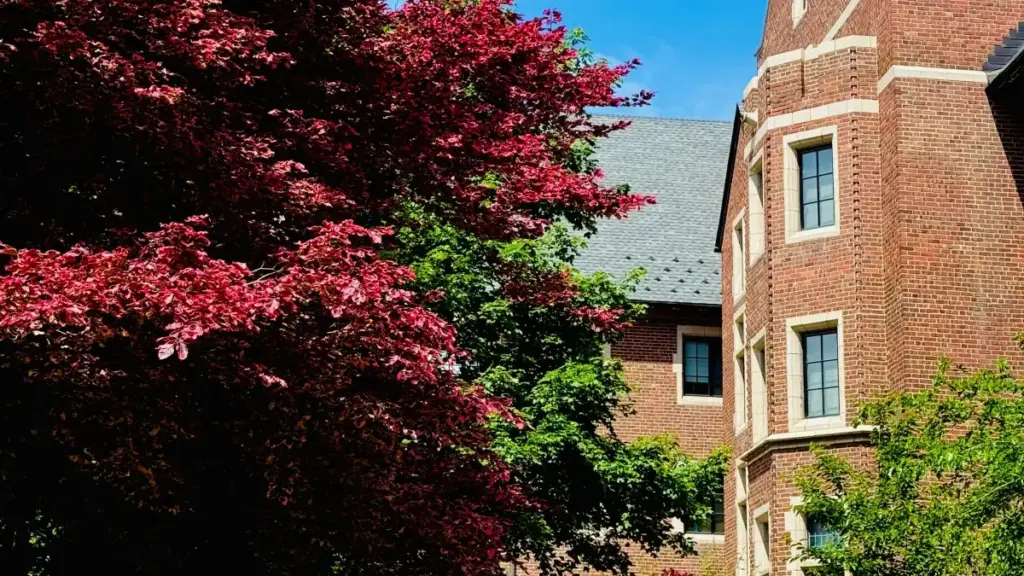 Ifya kupepa bwino: uko mulefwaya Austria Threads creators ukusanga no kukwata micro-influencer trials — ilyashi lya practical, local tips ku Zambia.