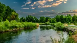 Icalo ca bwino pa kusanga Czech Spotify creators ifyo basangwa pakutemwa, shani ukucita long-term deals naba mid-tier creators, na fintu fyalungama mu 2026 ku Zambia.