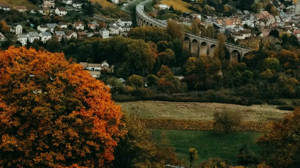 Mu bem-ZM: mu njira yacho, how advertisers ku Zambia bamwila New Zealand Reddit creators kuti mulanshe song promos — mapulani, workflows, risks, na MaTitie VPN tip.