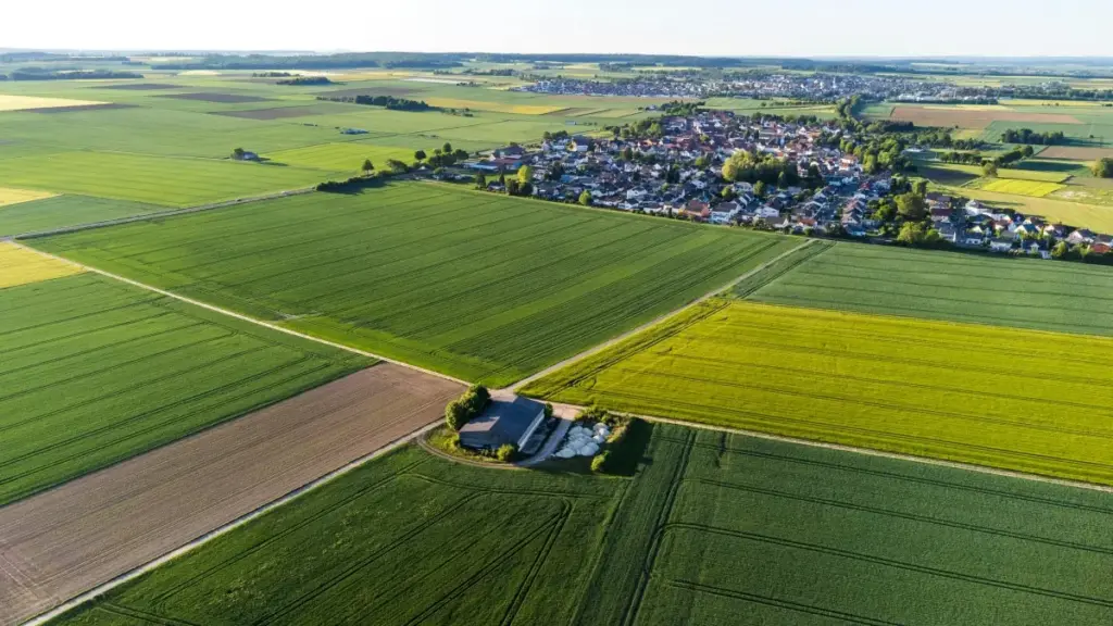 Ucili wa malyashi: amano ya pa ground pa fwaya aba Hungary pa Chingari, ukutila wacita promotion ya product na creator content.