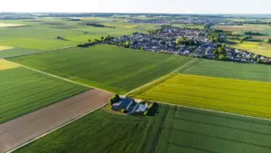 Ucili wa malyashi: amano ya pa ground pa fwaya aba Hungary pa Chingari, ukutila wacita promotion ya product na creator content.