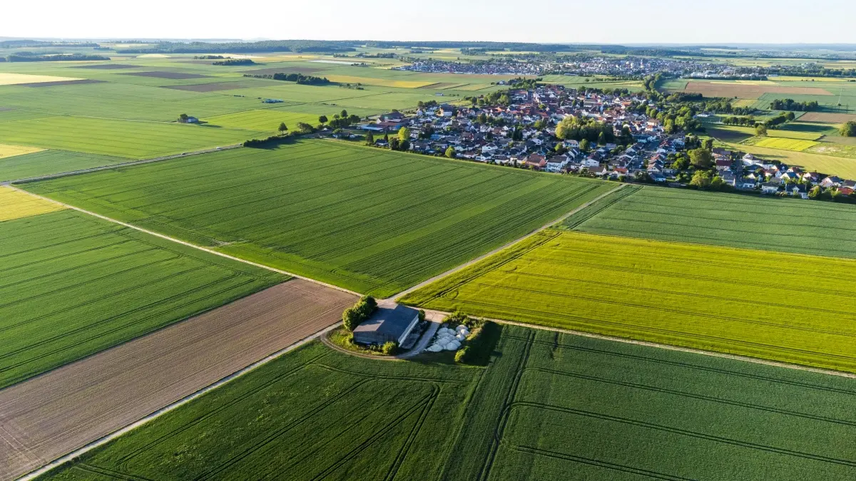 Abizinesi: Fwaya Hungary Chingari creators shimbi