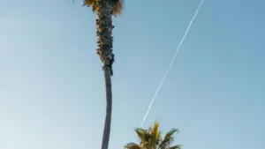 Umwenso wa creator ku Zambia: ama steps, channels, na networking tips ukwabula Finland brands pa Lazada kuti muletele trending products review.