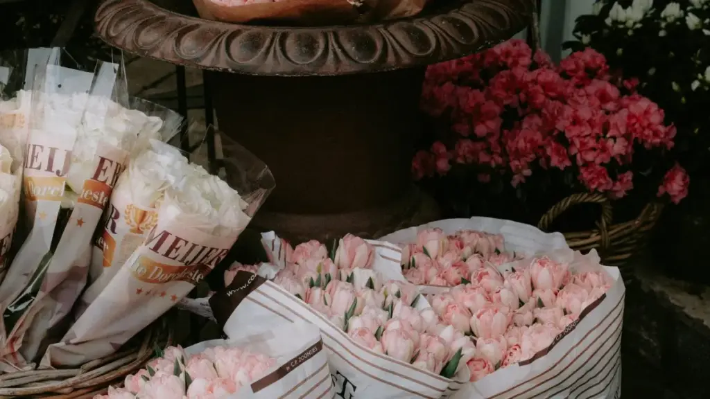 Ifyo ulefwaya ukufikila ku Panama brands nga ba Netflix kuti utemenwe affiliate sales — insambu, amano, ne templates izo zikosa mu Zambia.