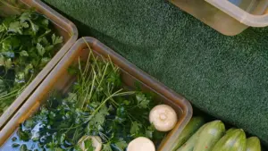 Nfumo sha kubona ba creator ba Bahrain pa KakaoTalk, ukushika ba music fans bwino na creator content—pamo na amano, data, na risks shya 2026.