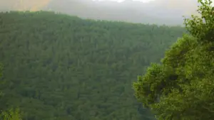 Fwaula momwe creator ku Zambia angafikire brand za Brazil pa WhatsApp, apange pitch yoyera, ande alemele UGC opportunities without stress.