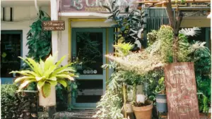 Ifya ku fika ku Chile brands pa Douyin tulesha mu practical way: nifya kutuma pitch, ukushimikila value, no ku landa sponsorships nga creator wa Zambia.