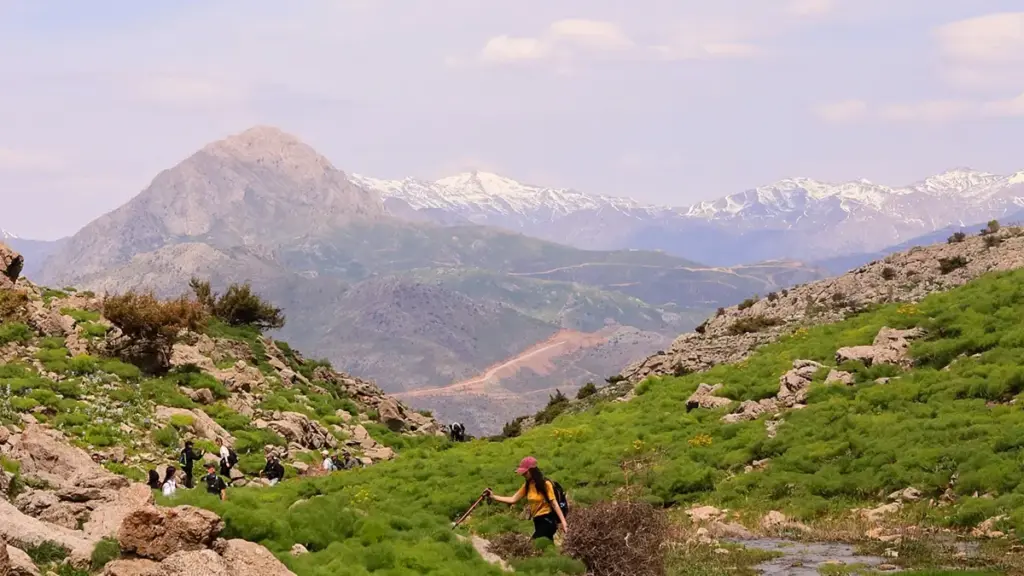 Uko ba brand ba Zambia bakawila creators ba Lebanon Josh ku product awareness mu misika ya pa world, na mano ya kusankila bwino, kupanga deal, no kuli risk.