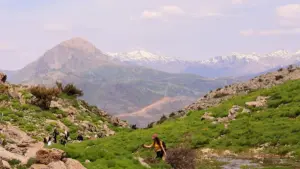 Uko ba brand ba Zambia bakawila creators ba Lebanon Josh ku product awareness mu misika ya pa world, na mano ya kusankila bwino, kupanga deal, no kuli risk.