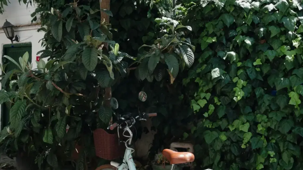 Umo wingasanga creators ba Malaysia pa Threads no kulombako product yobe ibonekepo bwino, no kulolela creator exposure ikuye bwino pa market.