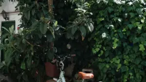 Umo wingasanga creators ba Malaysia pa Threads no kulombako product yobe ibonekepo bwino, no kulolela creator exposure ikuye bwino pa market.