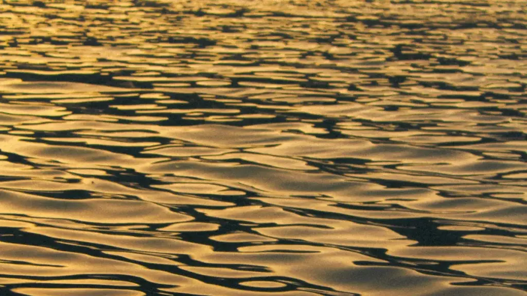 Lelo twalolesha ifi ulefwaya ukufika ku Puerto Rico beauty brands pa Zalo, ukushika outreach yopela, na kwibafikila bwino nelyo bapulisha skincare reviews.