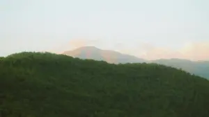 Shansapo ya kubona South Africa Spotify creators aba no kwibombela installs pali streamers, na ma tips ya kusunga budget no kusanga fit abantu ba bwino.